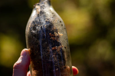 I found this bottle in the forest, randomly. we were collecting mushrooms and i was doing stuff.
