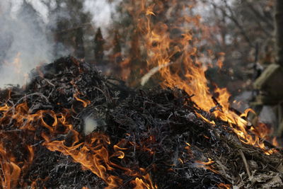 Close-up of bonfire