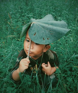 Cute boy holding leaf while crouching amidst plants on land