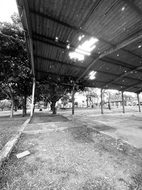 Empty road amidst buildings and trees