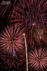 Low angle view of firework display at night