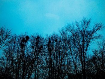 Low angle view of bare trees against blue sky