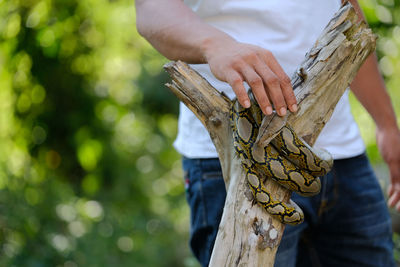 Man playing a snake