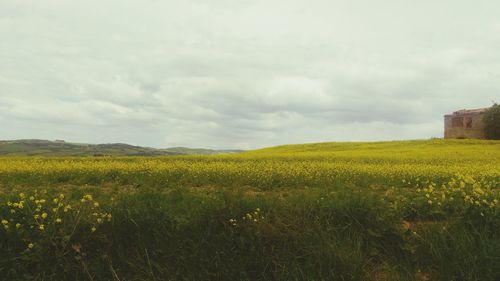 Scenic view of field against cloudy sky