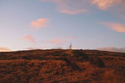 Scenic view of field against sky during sunset