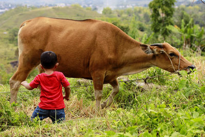 Rear view of boy standing on field