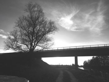 Bare trees against sky