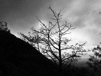 Low angle view of silhouette tree against sky