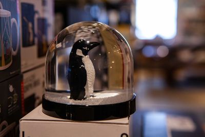 Close-up of bird in crystal decoration