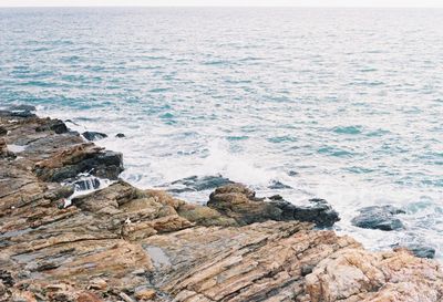 Rock formation on sea shore