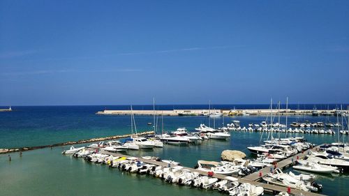 High angle view of sailboats moored at harbor