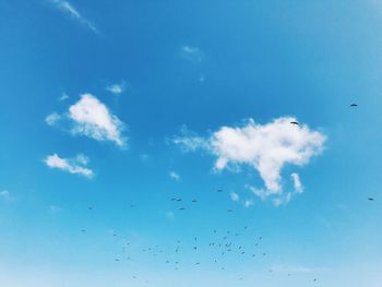 Low angle view of birds flying in sky
