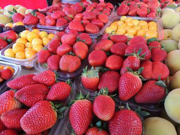 fruit