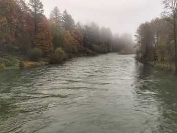 Scenic view of river in forest during autumn