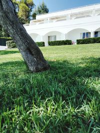 Lawn in front of built structure