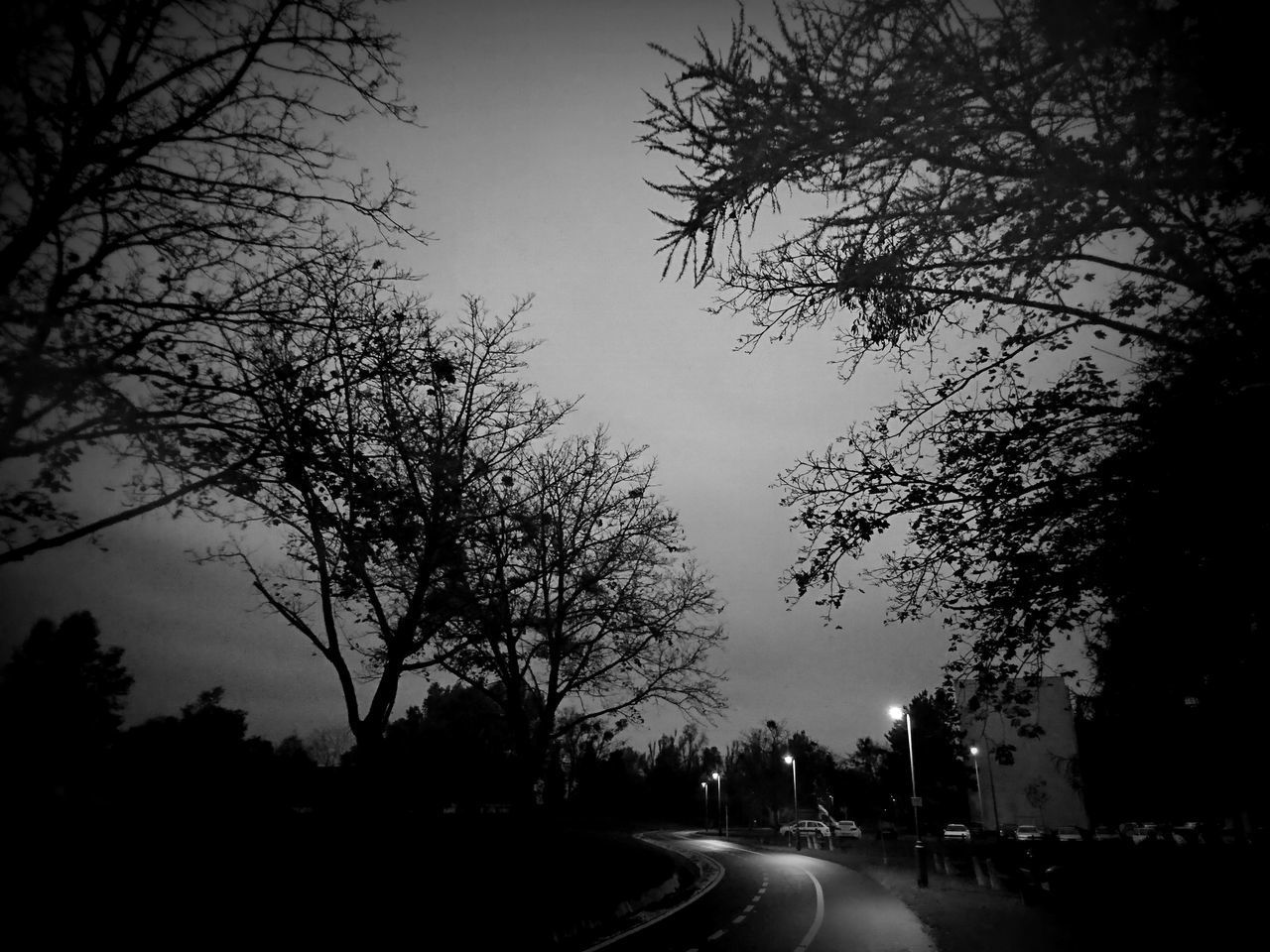 ROAD BY SILHOUETTE TREES AGAINST SKY