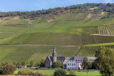 Scenic view of agricultural field by buildings