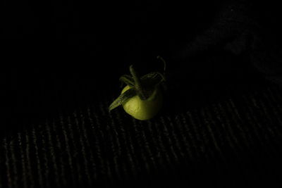 Close-up of tomato over black background