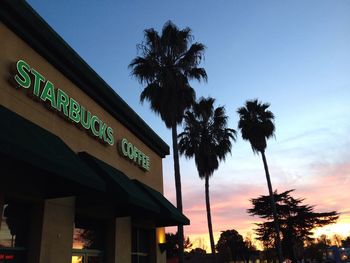 Low angle view of palm trees against sky