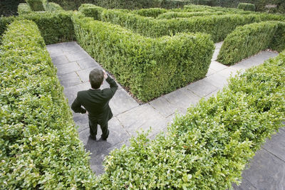High angle view of man walking on footpath