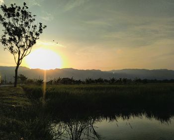 Scenic view of field against sky during sunset