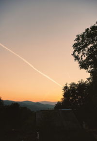 Silhouette trees and plants against sky during sunset