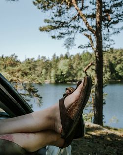 Low section of woman in car against trees