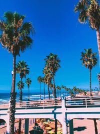 Palm trees by swimming pool against clear blue sky