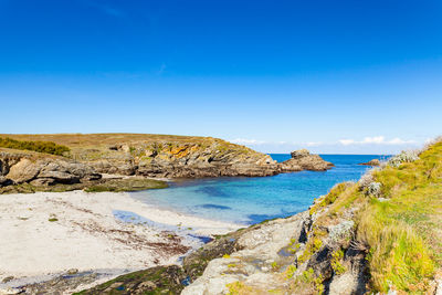 Scenic view of beach against blue sky