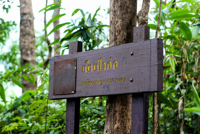 Information sign on tree trunk