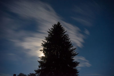 Low angle view of silhouette tree against sky