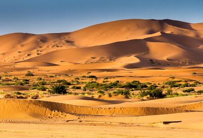 Scenic view of desert against sky