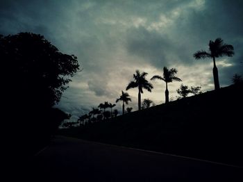 Silhouette of palm trees against cloudy sky