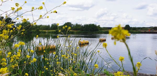 Scenic view of lake against cloudy sky