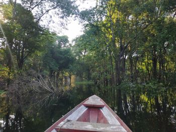 Scenic view of lake amidst trees in forest