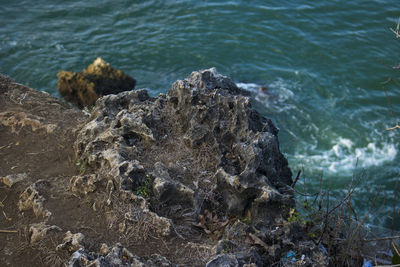 High angle view of rocks on beach