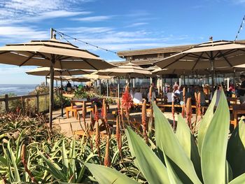 People on grass against sky