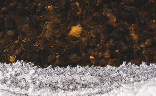 Close-up of snow on land