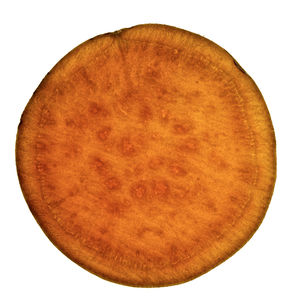 High angle view of bread against white background