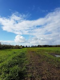 Scenic view of field against sky