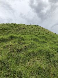 Scenic view of grassy field against sky