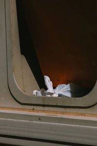 White bag on a dumpster