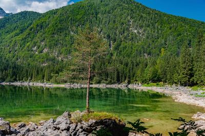 Scenic view of lake and mountains against sky