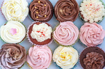 High angle view of cupcakes