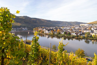 Scenic view at bernkastel-kues and the river moselle in autumn with multi colored leaves in vineyard