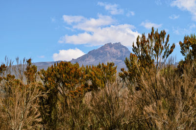 Scenic mountain against sky, mawenzi peak in mount kilimanjaro, tanzania