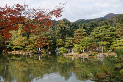 Scenic view of lake by trees during autumn