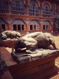 View of a sleeping outside building