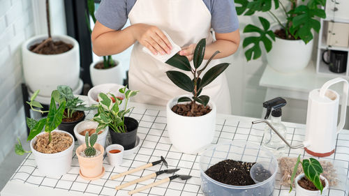 High angle view of woman cleaning potted plant at table