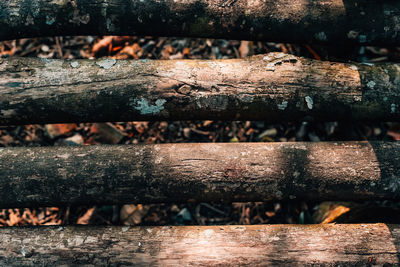 Wood background